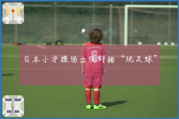 日本小学操场出现野猪“玩足球”